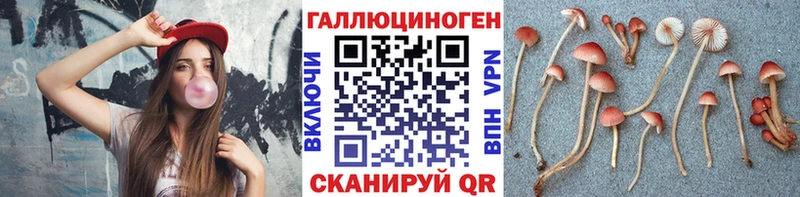 Псилоцибиновые грибы Magic Shrooms  Тетюши 