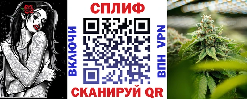Бошки Шишки ГИДРОПОН  закладка  Тетюши 